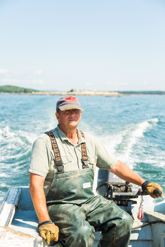 man driving lobster boat