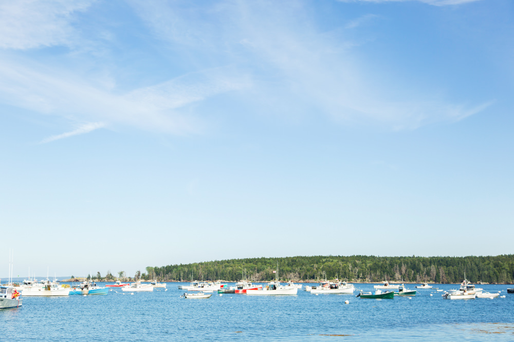 cove with boats