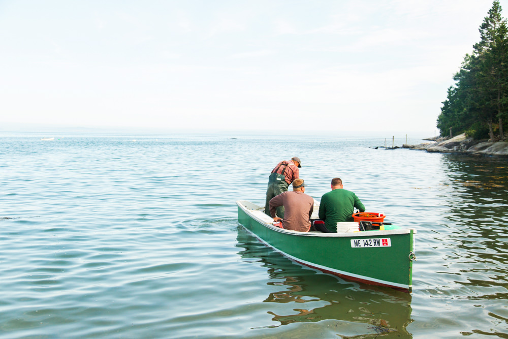 loberstering boat