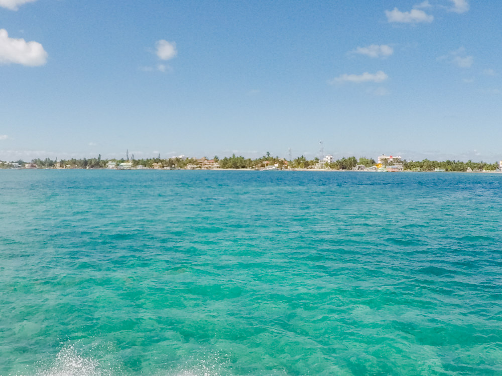 caye caulker caribbean sea