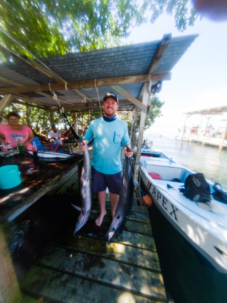 fresh catch of wahoo