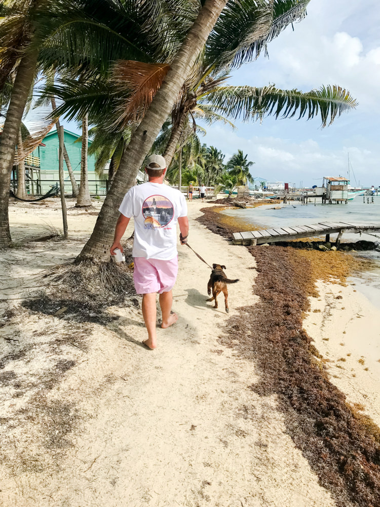 walking a dog on the beach